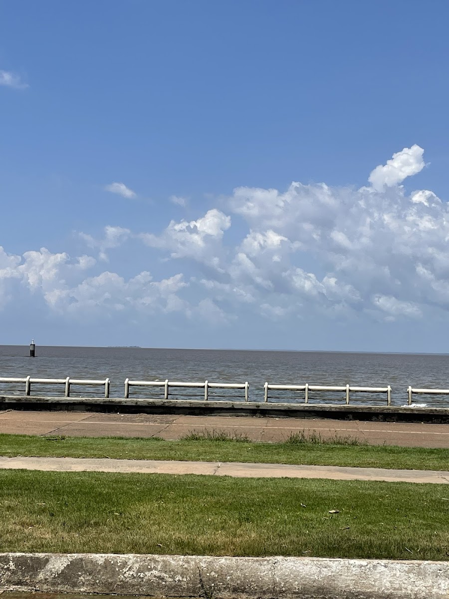 Churrascaria Sarney-3